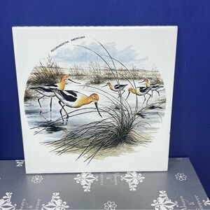 Ceramic 8x8 Avocet Bird Art Tile Trivet Mexico Recurvirostra Americana